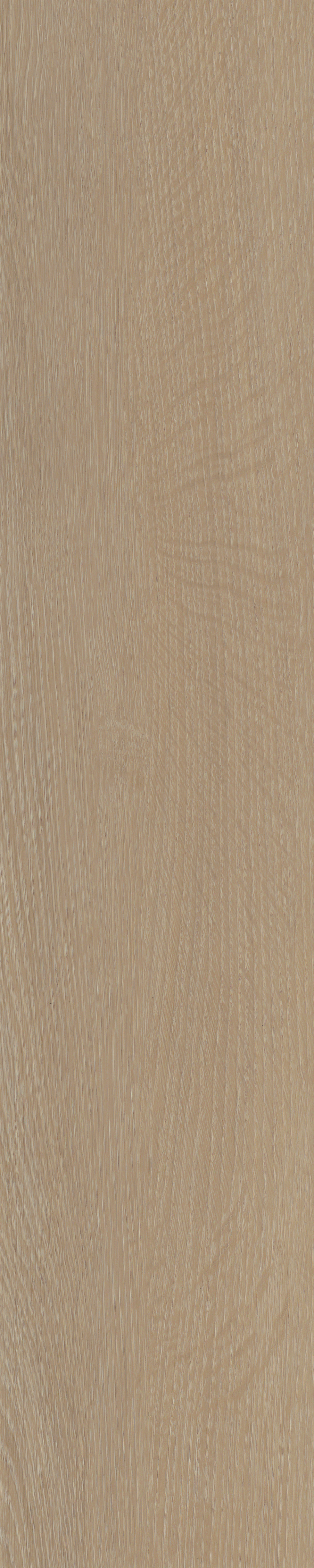 Cervo visgraat XL 21 | Rigid Click